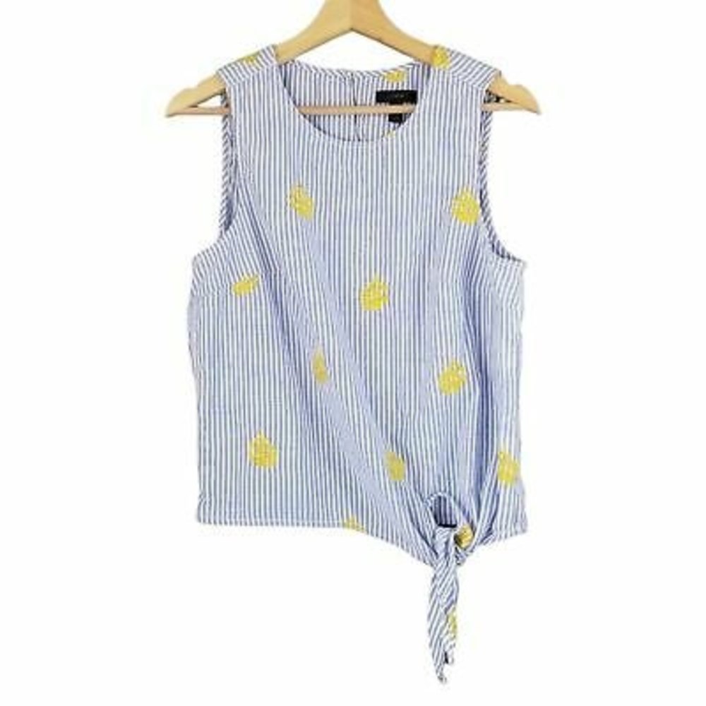 J. Crew Blue Striped Pineapple Top Size 6 Sleeveless Tie Waist Blouse Coastal